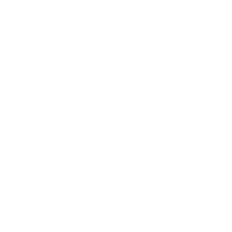 Multi-Platform Ad Execution