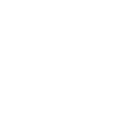 Crafting a Customized Advertising Plan